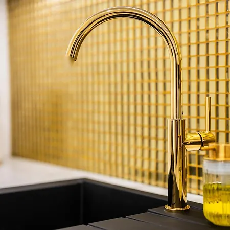 Gold Luxury Apartment Katowice